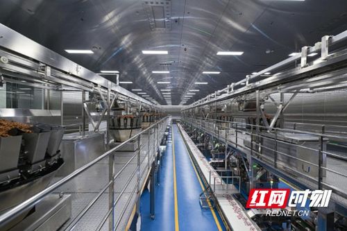 清華大學學子走進勁仔食品，共探“科研興企”新路徑