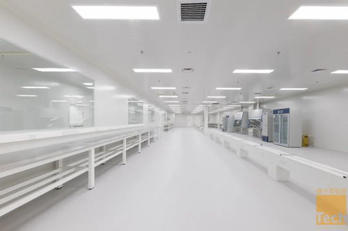 德卡實驗室優秀項目“賦源生物研發中心”順利竣工，助力惟物實驗室邁向新篇章