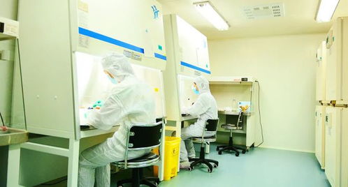 秦創原上話發展丨這個B+A級GMP生物實驗室，投用在即 惟物實驗室