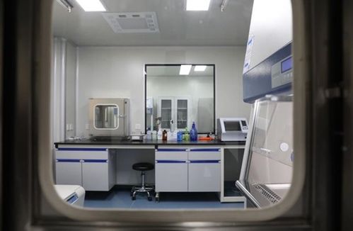 大竹縣建成二級生物安全實驗室，每日檢測能力達200人份