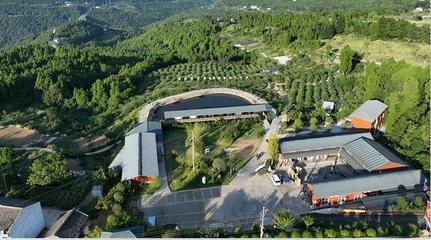 聚會、團建、散心，來這里就對咯！——星級公園觀光服務全體驗